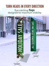 Zoo-WHYS-December_2025-flags-Email